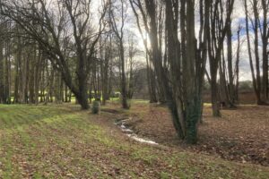 Photo 01-12-2021, 11 38 36